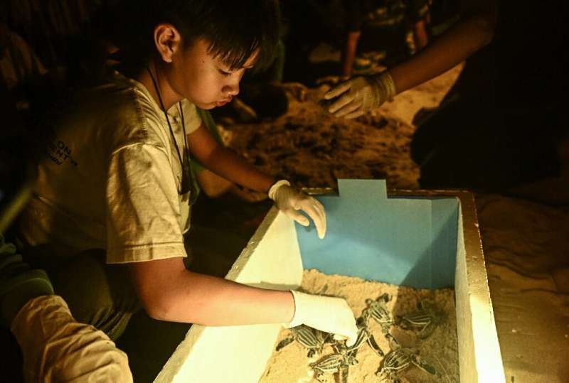 Bangkok high school student Prin Uthaisangchai is producing a short documentary about leatherback turtles to tease conservationists