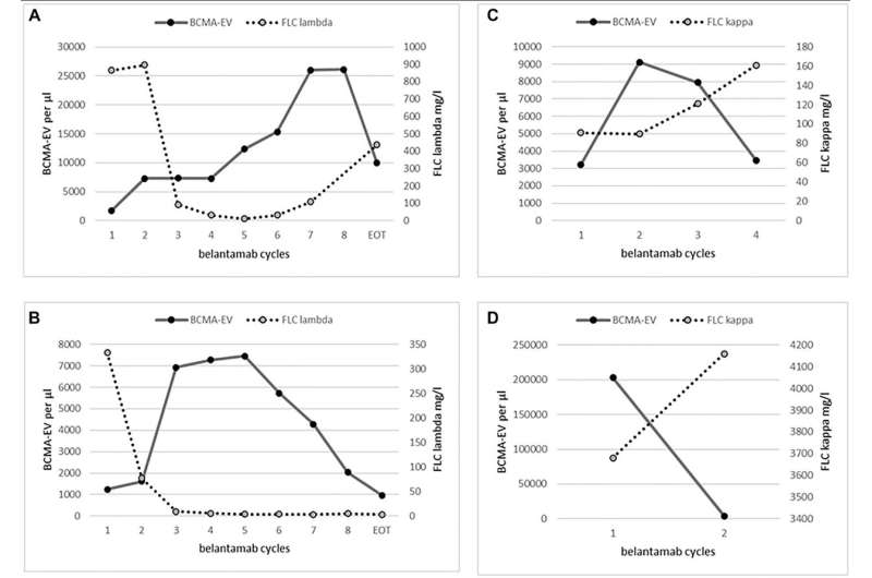 BCMA+ EV levels correlate with myeloma response to belantamab-mafodotin