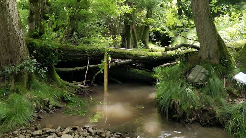 Beaver-like dams can enhance existing flood management strategies for at-risk communities, study finds