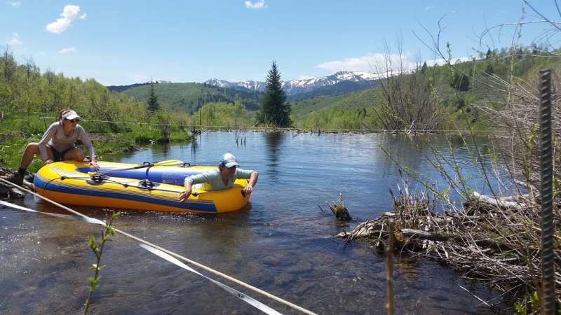 Beaver ponds with deeper sediments store more nitrogen, simple mapping reveals