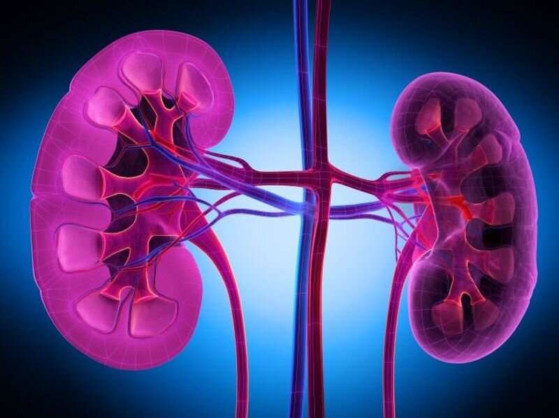 Benefits persist for lenvatinib, pembrolizumab in renal cell cancer