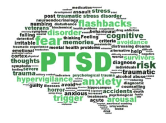 Beyond the battlefield: A broader understanding of post-traumatic stress disorder