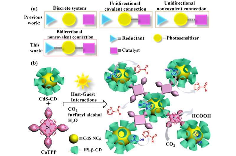 Bidirectional host-guest interactions promote selective photocatalytic CO2 reduction coupled with alcohol oxidation in aqueous solution