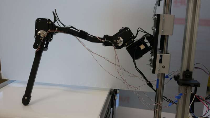 Big robot bugs reveal force-sensing secrets of insect locomotion