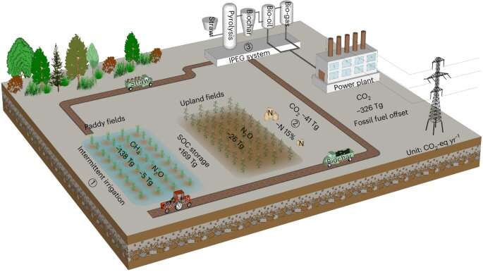 Biochar and energy from pyrolysis can pave the way for carbon-neutral agriculture in China