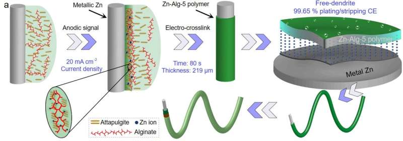 Biocompatible zinc batteries with Zn-alginate polymer electrolyte