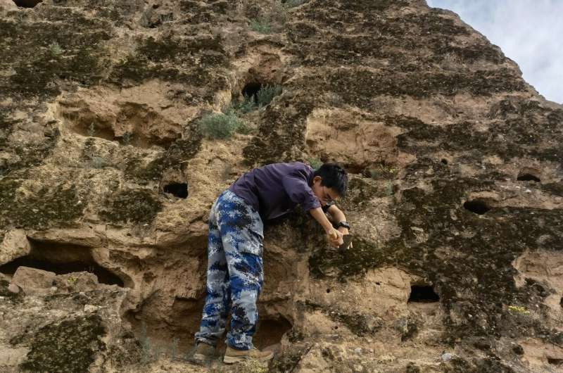 Biocrusts on Great Wall of China found to be protecting it from erosion