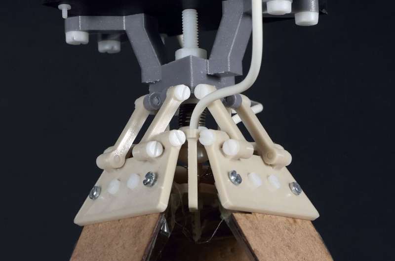 Biodegradable artificial muscles: going green in the field of soft robotics