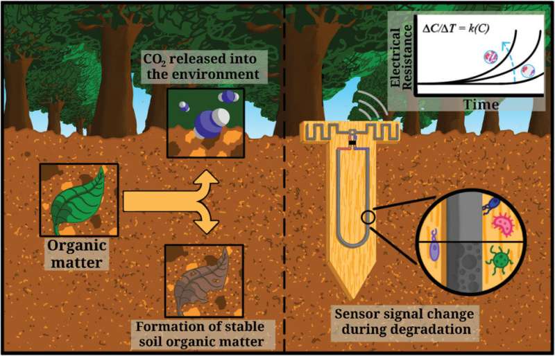 Biodegradable soil sensors could change farming, conservation approaches