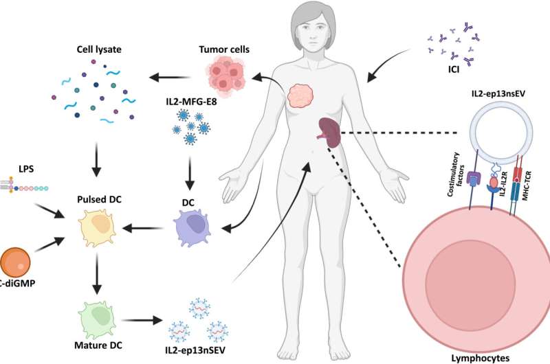Bioengineering active immunotherapy for personalized cancer treatment
