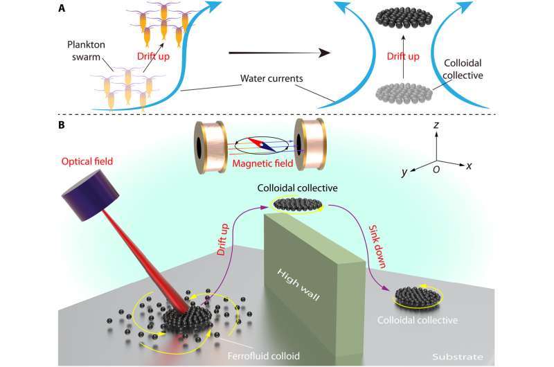 Bioinspired self-assembled colloidal collectives of active matter systems