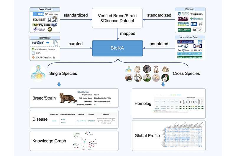 BioKA: Curated and integrated biomarker knowledgebase for animals