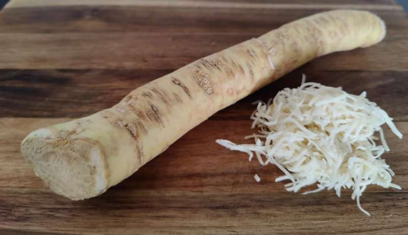 Biolab replaces horseradish roots