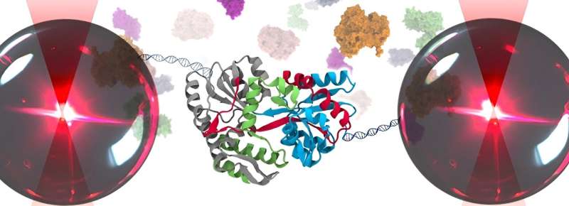 Biological Origami at molecular level: folding a single protein