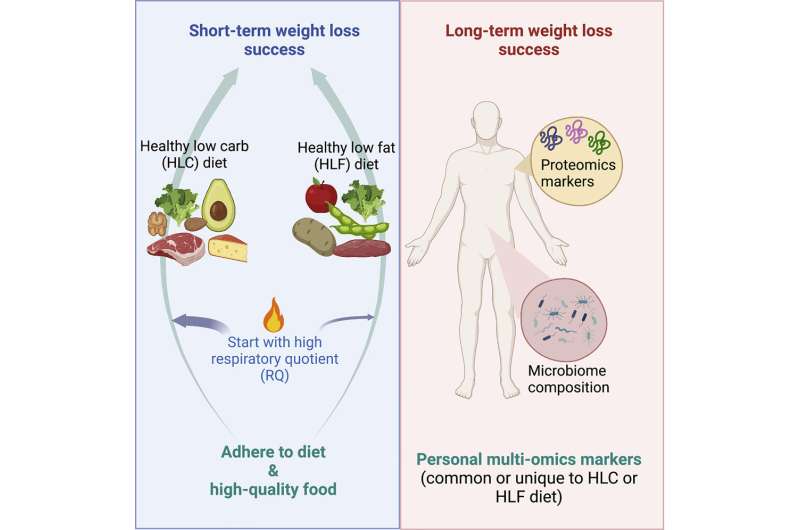 Biomarkers predict weight loss, suggest personalized diets