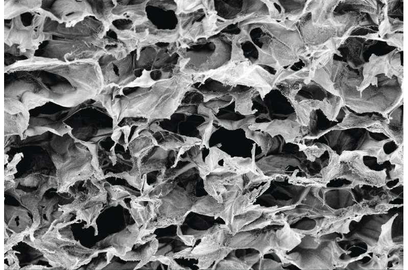 Biomaterial-delivered one-two punch boosts cancer immunotherapy