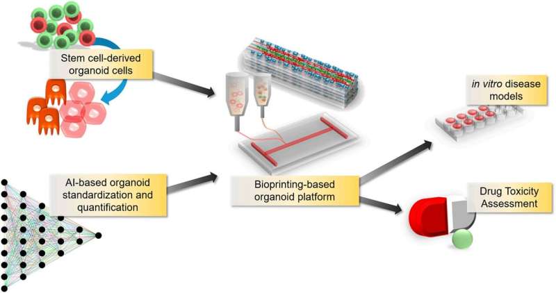 Bioprinting technology combined with artificial intelligence allows to obtain high quality in vitro models