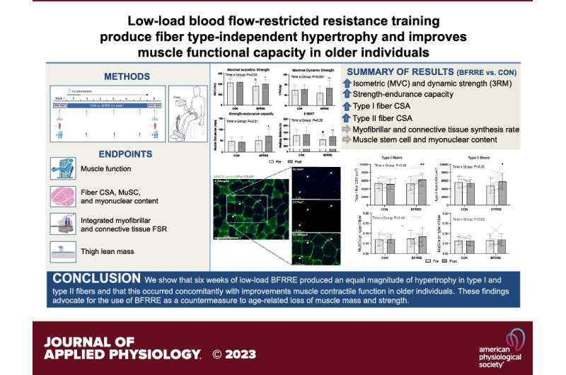 Blood-flow-restricted resistance exercise could help counteract age-related muscle loss