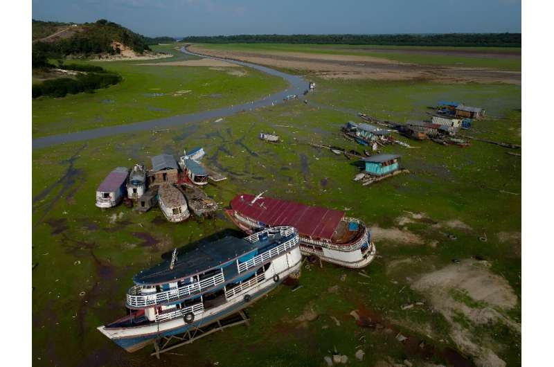 Boats stranded in the mud of the parched Lago Aleixo amid a drought in the Amazonas state of Brazil