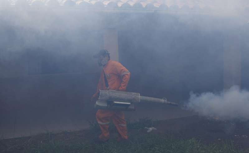Bolivian hospitals under strain as dengue kills dozens