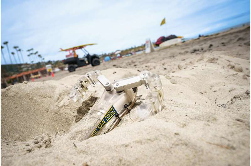 Bot inspired by baby turtles can swim under the sand
