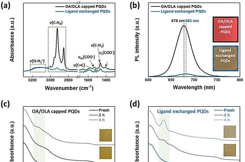 Both efficiency and stability in next-gen solar cells with quantum dot surface stabilization strategy