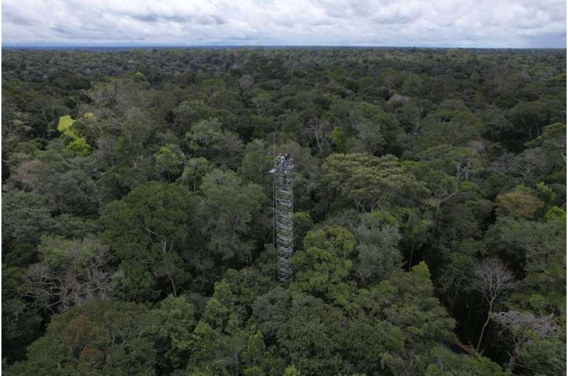 Brazil builds 'rings of carbon dioxide' to simulate climate change in the Amazon