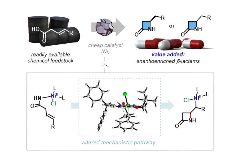 Breakthrough in β-lactam synthesis using nickel catalysts