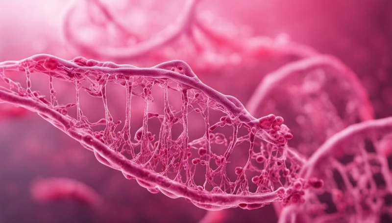 Breast cancer: new study reveals real risk of the disease if you have genetic mutation