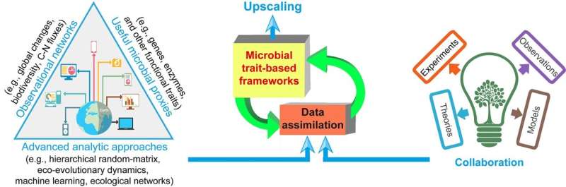 Bridging the gap between lab and field studies in soil microbiology research