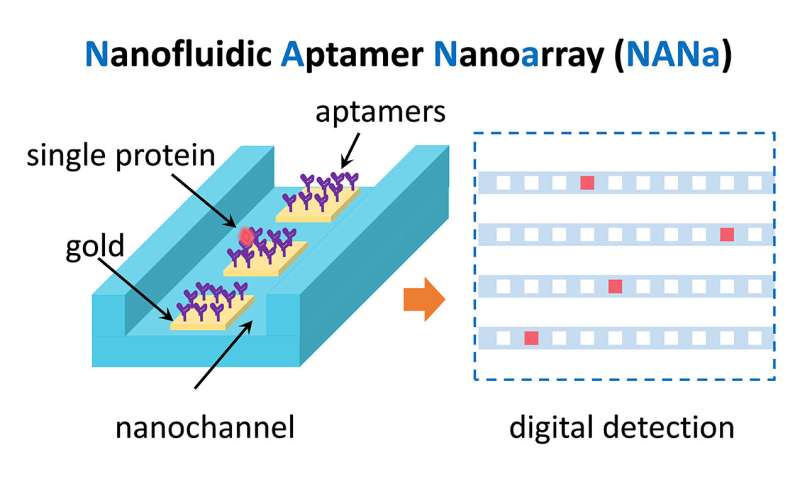 Bridging the gap for precision medicine: nanofluidic aptamer nanoarray measures individual proteins