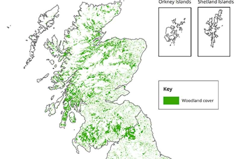 Britain's wild woods are under threat and we're running out of time to save them