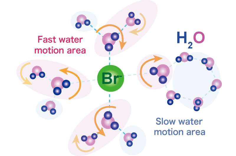 Bromide ions cause ripples in semiclathrate hydrates
