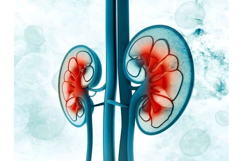 Budesonide yields durable reduction in eGFR for IgA nephropathy