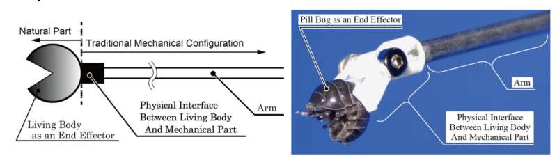 Bugs give robotic arms a hand
