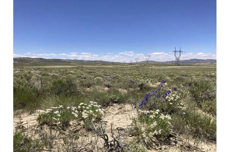 Build begins on Wyoming-to-California power line amid growing wind power concern