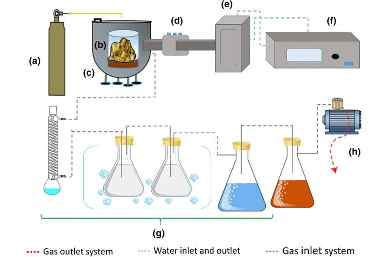 Building a high-performance electrochemical sensor using activated biochar from pineapple peel waste