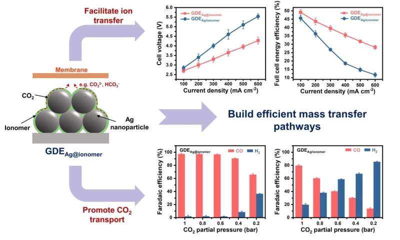 Building efficient mass transfer pathways for electrocatalytic CO2 reduction reaction