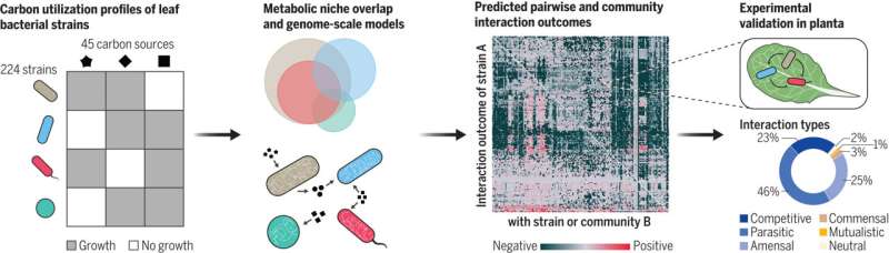 Building models to predict interactions in plant microbiomes