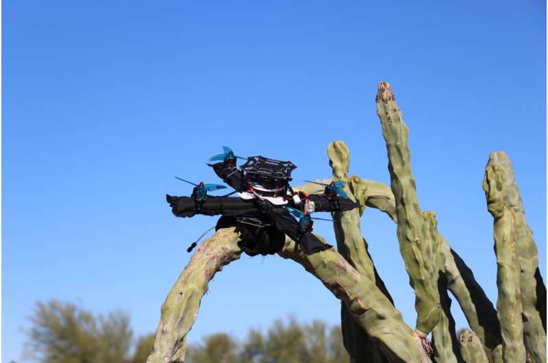 Built to bounce back: ASU robotics research designs drone to cope with collisions