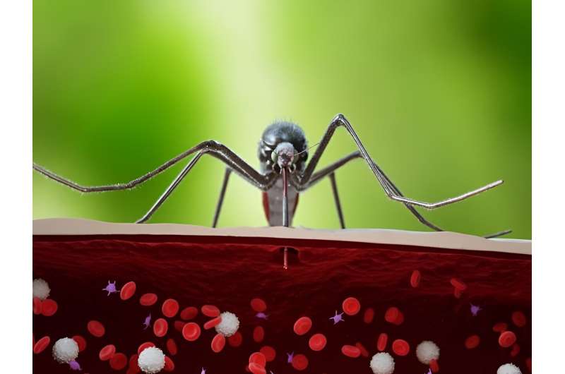 Cache valley virus: another mosquito-borne illness making inroads in U.S.