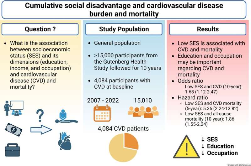 Can education and occupation influence cardiovascular health and mortality?