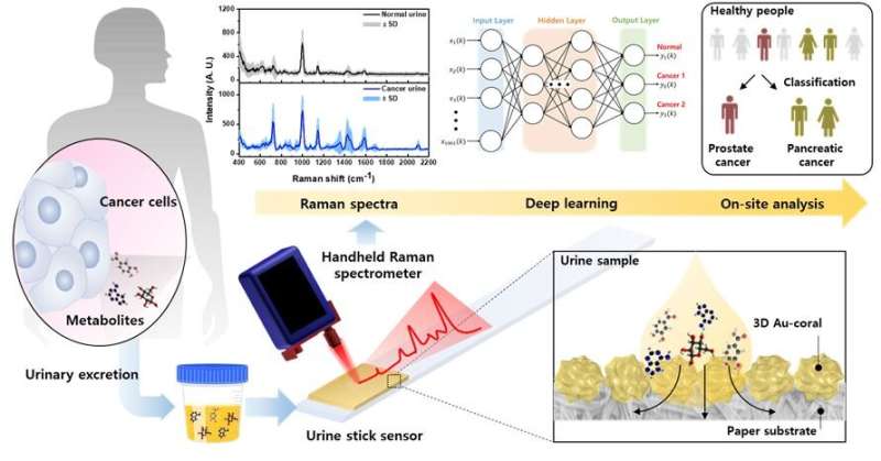 3D plasmonic coral nanoarchitecture for cancer diagnosis using urine