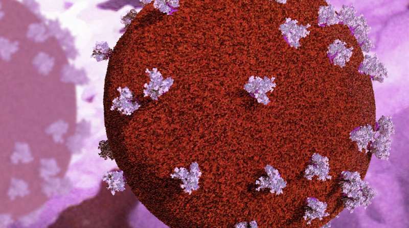 Cancer drug shows promise in killing 'silent' HIV cells and delaying the virus from re-emerging in mice