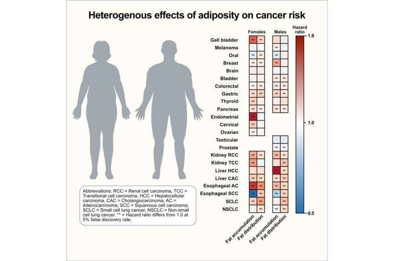 Cancer has an obesity-related risk factor, and it depends on sex and cancer type