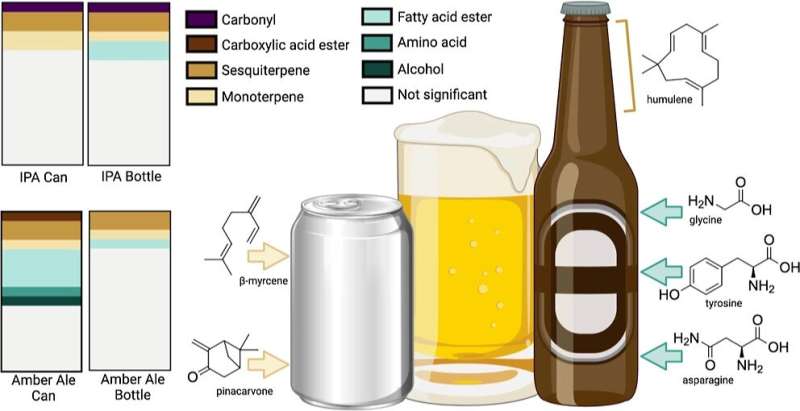 Cans or bottles: What's better for a fresh, stable beer?