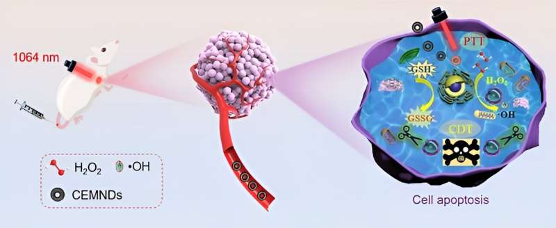 Carbon-encapsulated magnetite nanodonut proposed for synergistic cancer therapy