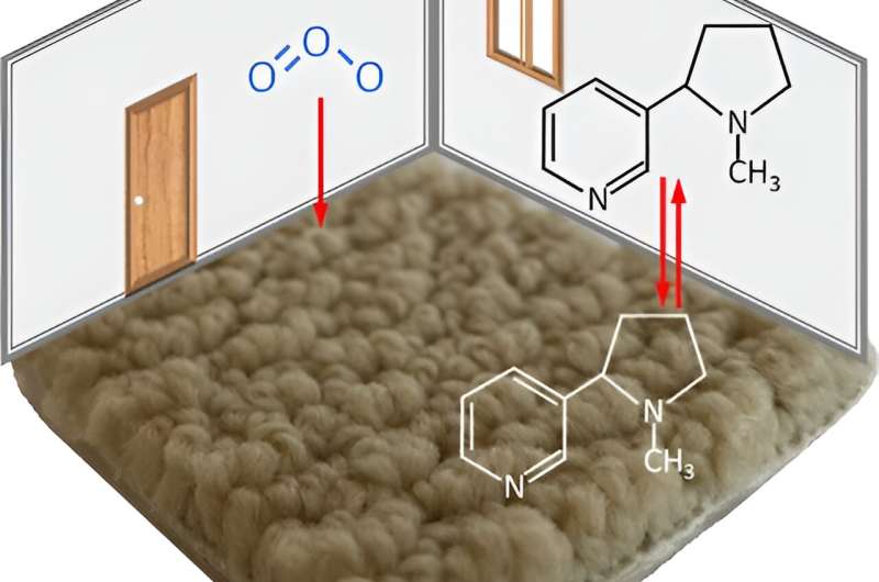 Carpets retain a stubborn grip on pollutants from tobacco smoke