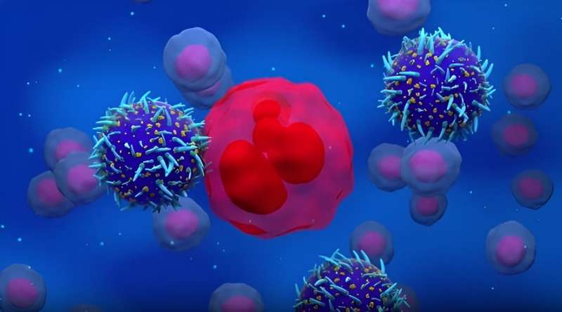 A terapia celular parece segura e eficaz para o linfoma em remissão