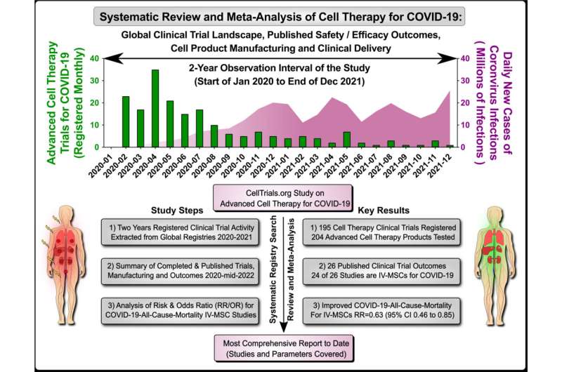 Cell therapy can reduce risk of death from COVID-19 by 60%, study shows